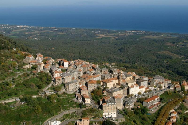 Villa Angelini Valle-di-Campoloro Exteriör bild